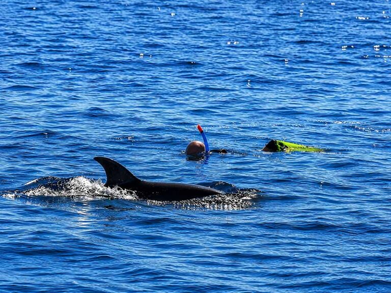 Location bateau avec skipper 3 Snorkeling lors d’une sortie en bateau à La Réunion